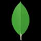Mongodb